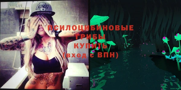 ПСИЛОЦИБИНОВЫЕ ГРИБЫ Алзамай