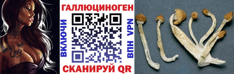 Галлюциногенные грибы Magic Shrooms  купить наркотик  Баймак 